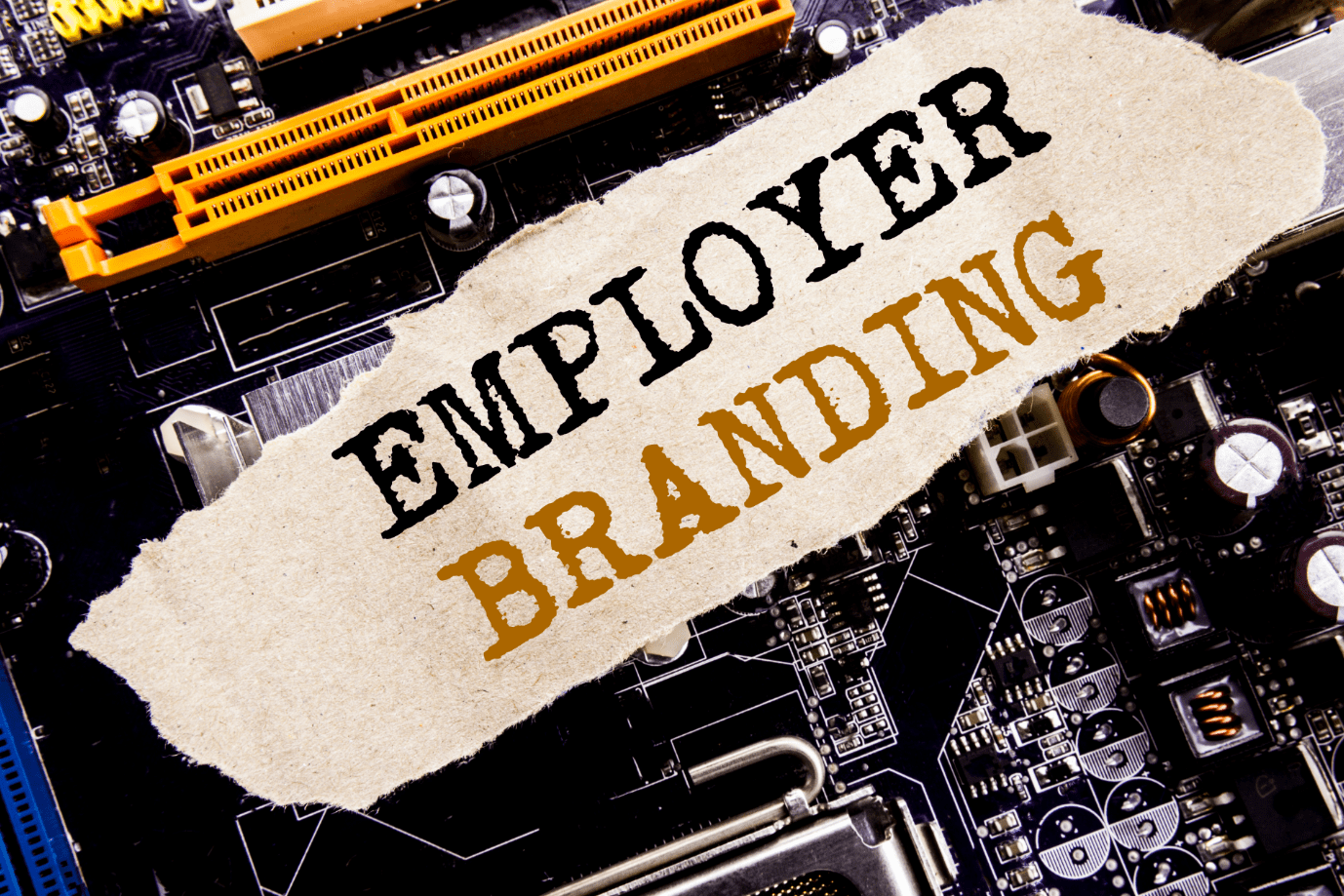 Mitarbeiterbindung: Wie Sie Ihr Internes Employer Branding Verbessern